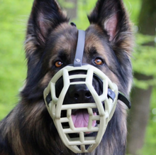 Load image into Gallery viewer, The Muzzle Movement - Size Sunny