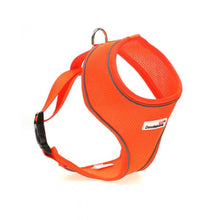 Load image into Gallery viewer, Original Airmesh Dog Harness