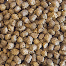 Load image into Gallery viewer, Puppy Grain Free Chicken with Turkey, Salmon, Sweet Potato & Carrot