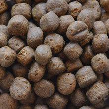 Load image into Gallery viewer, Puppy Large Breed Grain Free Salmon with Sweet Potato & Vegetables