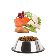 Load image into Gallery viewer, Senior Grain Free Trout with Salmon, Sweet Potato & Asparagus