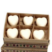 Load image into Gallery viewer, Box of 6 Wax Melts - natural and pet friendly