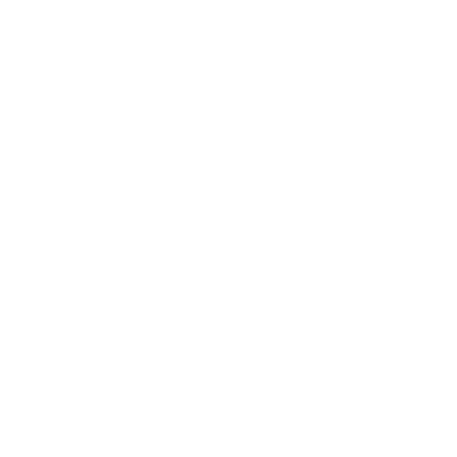 Kids Around Dogs Programmes Thaxted Pet Co.