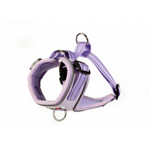 Load image into Gallery viewer, Original Airmesh Dog Harness
