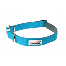 Load image into Gallery viewer, Originals Padded Dog Collar
