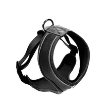 Load image into Gallery viewer, Original Airmesh Dog Harness
