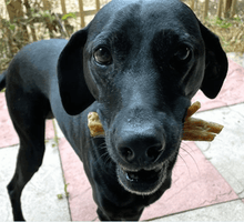 Load image into Gallery viewer, Three Month Subscription Box
