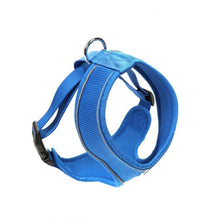 Load image into Gallery viewer, Original Airmesh Dog Harness
